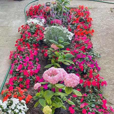 Apartment Nearby The Sea- Elegant Retreat In Varna