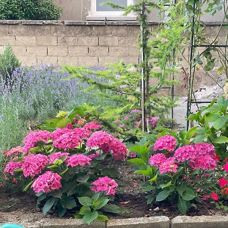 Apartment Nearby The Sea- Elegant Retreat In Varna