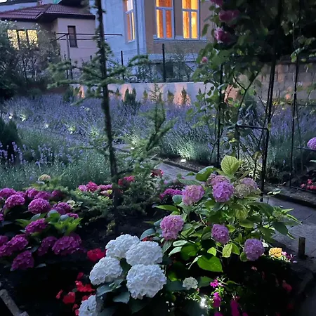 Nearby The Sea- Elegant Retreat In